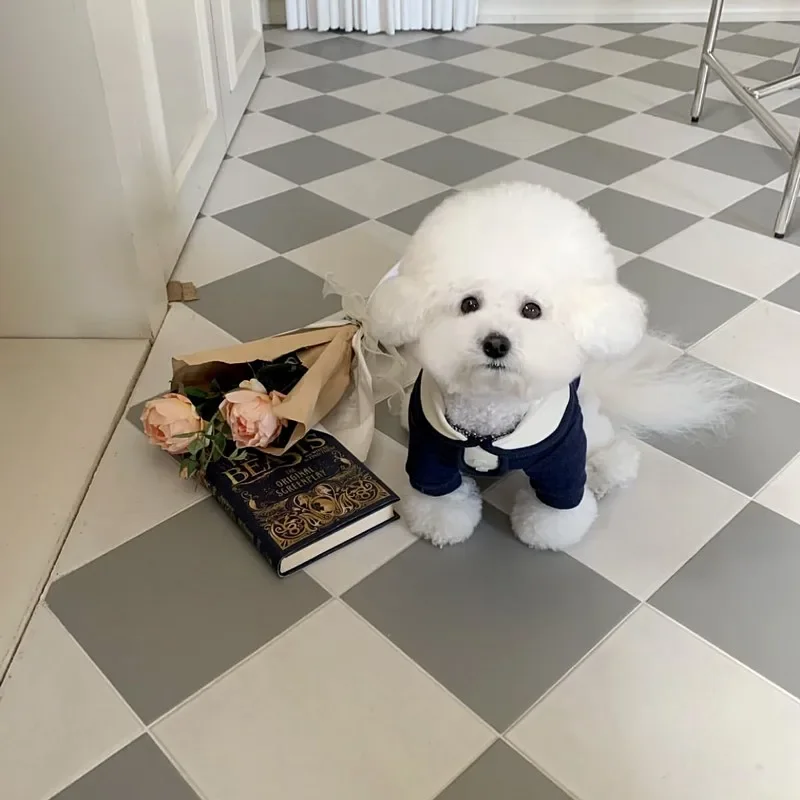 귀여운 강아지 옷 라펠 티셔츠, 테디 베어, 슈나우저, 말티즈 강아지, 코스튬 개 조끼, 강아지 셔츠, 강아지 의류, 여름