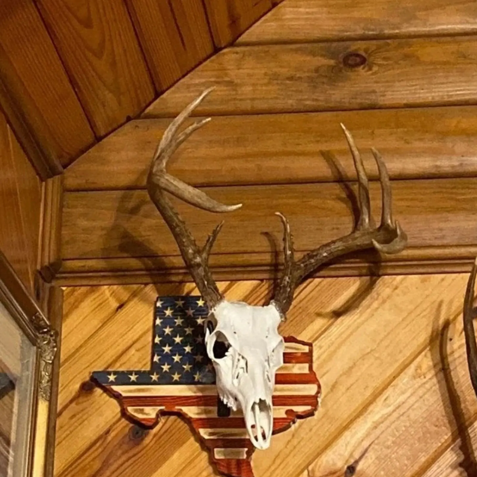 Perfect Kit for Hanging and Mounting Antlers Skulls Wood Skull Display & Mount Kit for Wall or Table Display European Deer Mount Plaque Skull Hooker USA Flag Decor Pedestal 
