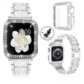 Silver band-case