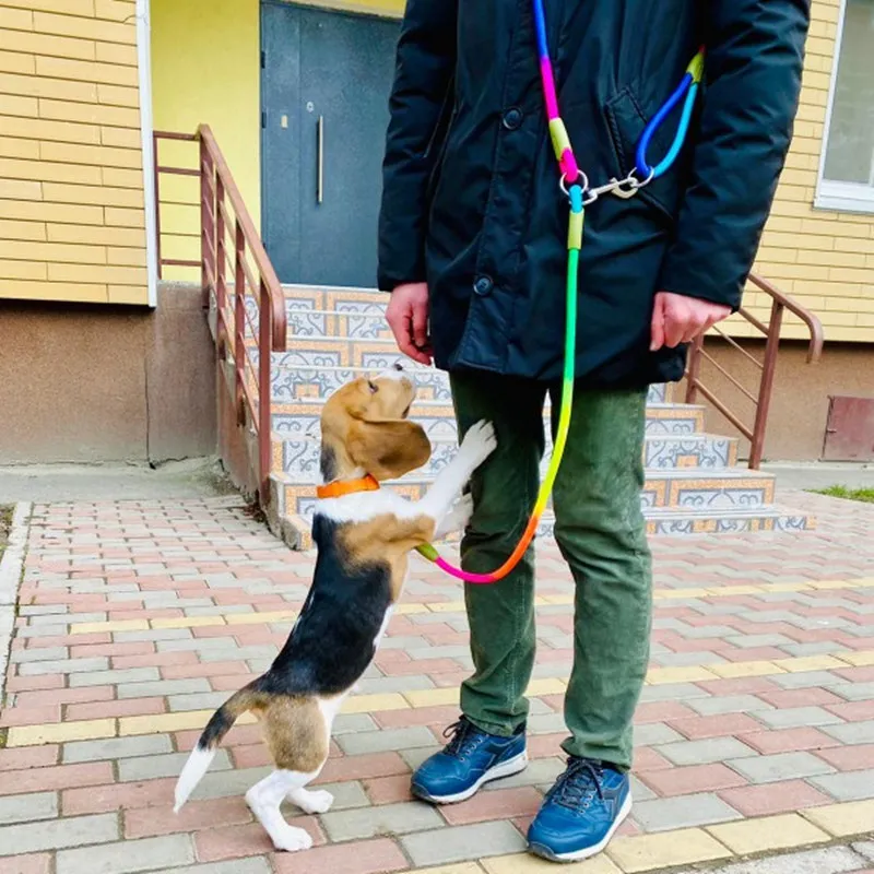 개 하네스 가죽 끈 하네스 리드, 개 산책 슬렁한 어깨, 핸즈프리 가죽 끈, 개 체인, 더블 헤드 가죽 끈, 개 워커