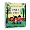 Usborne Books Small Size Very First Q&A Lift-the-flap Educational English Book for Kids Popular Science Learning Montessori Toys 5