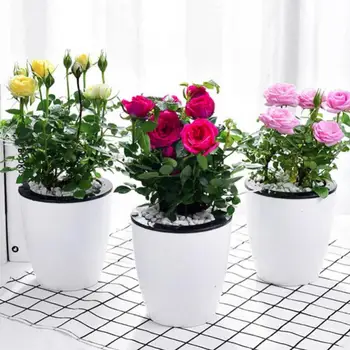 Self-watering Flower Pots Wall Hanging Planter Vertical Home Garden Accessories macetas decorativas горшок для цветов  - Image 5