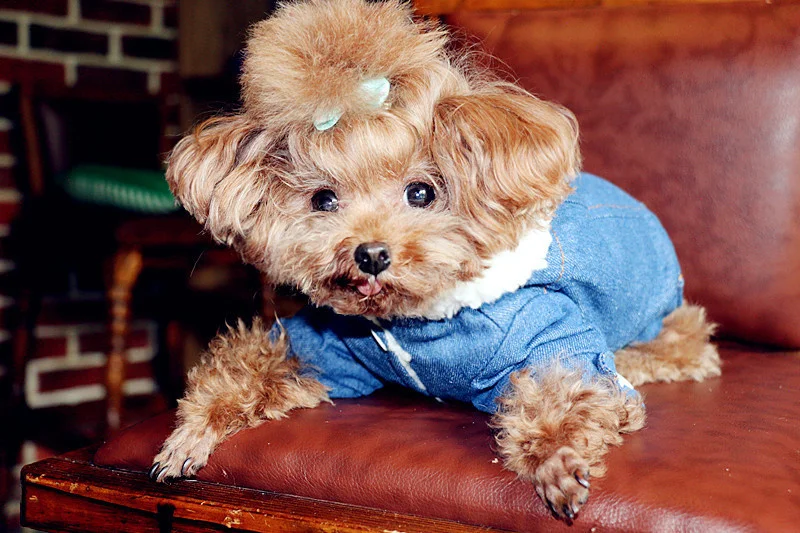 详情页 (11).jpg_.webp