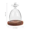 Decorations Angel Glass Cover Dome with Wood Base Display Eternal Flower Vase Cake Bell Jar Decorative Micro Landscape 2