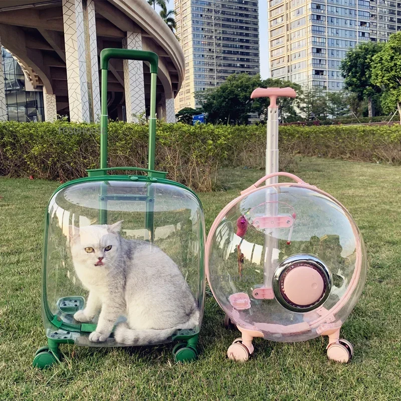 Moderna maleta transparente con ruedas para mascotas, perros y gatos, ideal para viajes, bolsa de transporte de gran capacidad