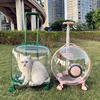 Moderna maleta transparente con ruedas para mascotas, perros y gatos, ideal para viajes, bolsa de transporte de gran capacidad