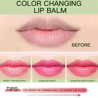 Aloe Vera Discolored Lip Balm Jelly Magic Color Changing Moisturizing Girl Lipstick Nourishing Gloss Lasting Makeup Lip Lip A0A9 2