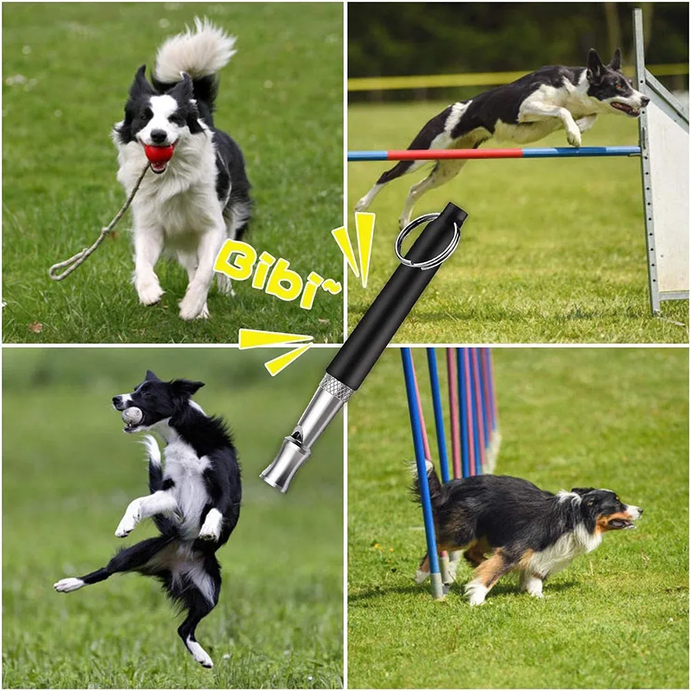 Dog Whistle dog trainer with Lanyard Stop Neighbor Dog from Barking Adjustable Ultrasonic Silent Whistle Professional Pet Training Tools dog whistle
