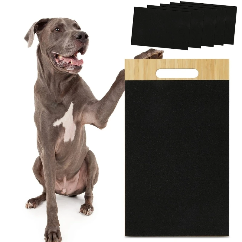 Details 159+ sandpaper dog nails super hot ceg.edu.vn