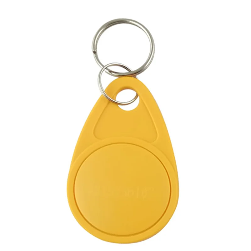 Pack of 100 RFID Key Fob Keychain Tags
