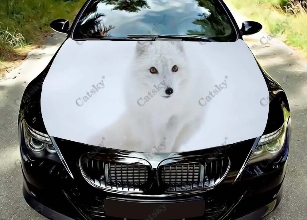 

arctic fox animal Car Hood Wrap Color Vinyl Sticker Decal Truck Graphic Bonnet Custom Car Decoration Stickers