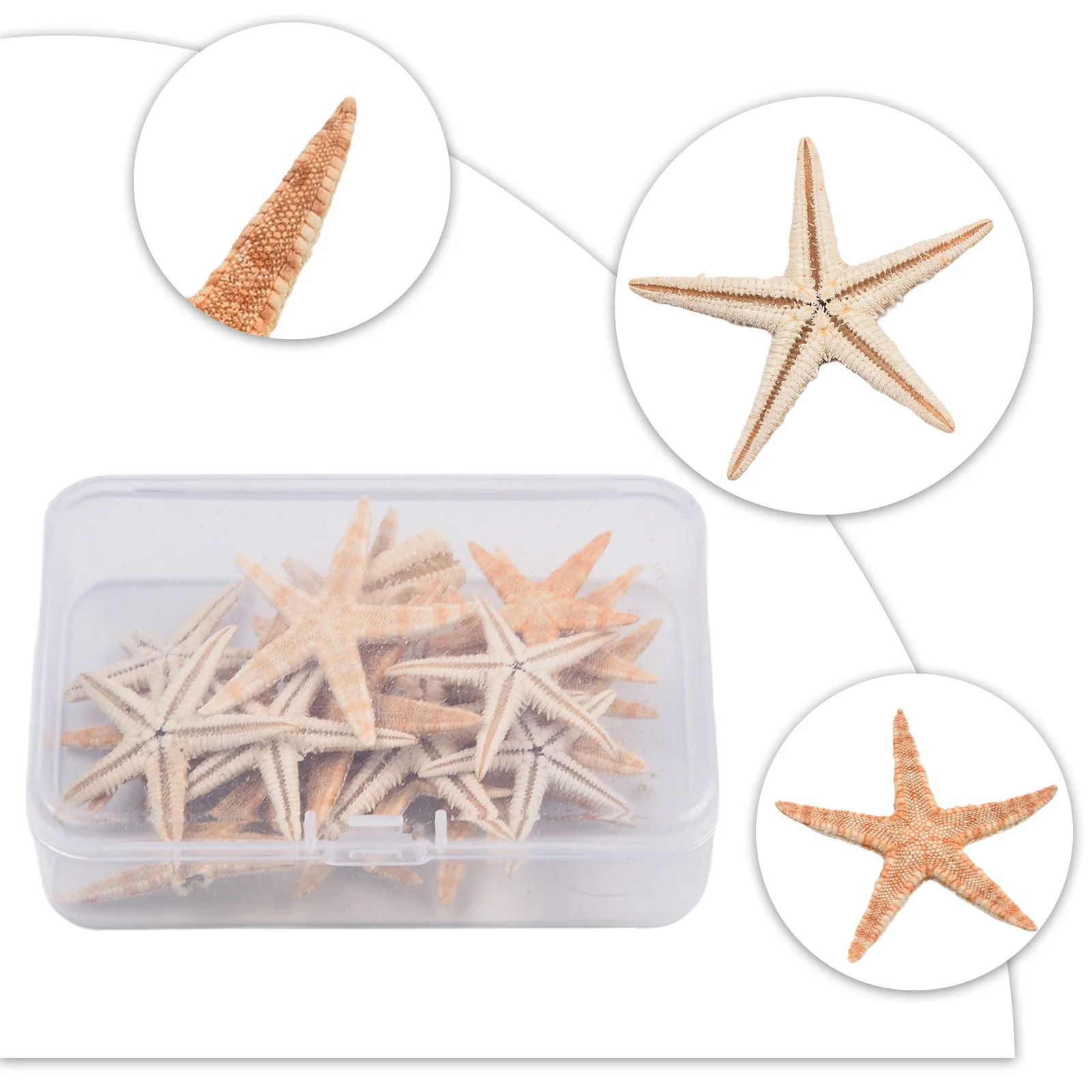 20/50/100pcs Natural Starfish Ornaments for Beach Craft Decor Wedding Party DIY Home Decor