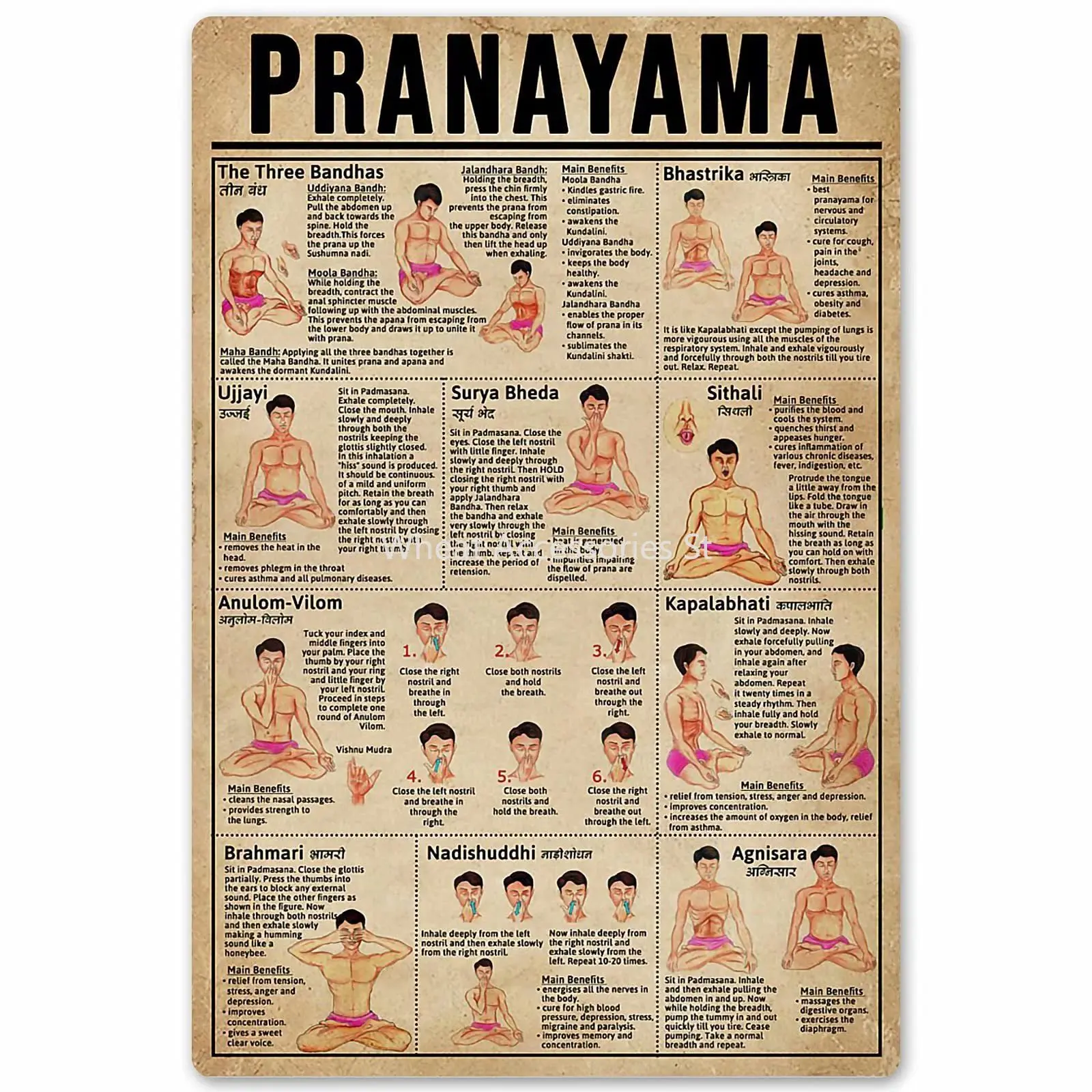 

Yoga Pranayama Types Posters Wall Decor Art Printing Plaque Room Decor Science Knowledge Retro Bathroom Decor 8x12 Inches