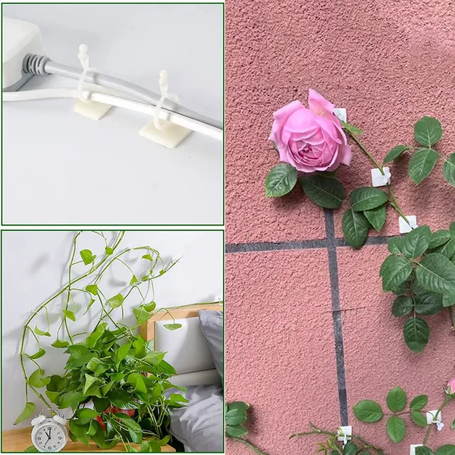 10-30 Darabos Növényi Hegymászó Fali Rögzítő Klipek Ön Adagoló Szőlő Tartó Kerti Falak Ragacsos Horog - Image 4
