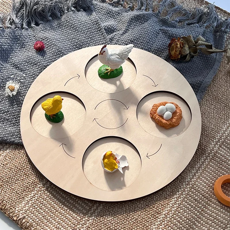 Animal Life Cycle Board Children Toys Montessori Teaching Aids Plant Animal Growth Cycle Model Set preschool cognitive Toys 5