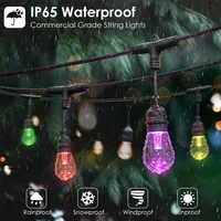 10m 20m 30m Smart LED String Lights Commercial Grade Waterproof Outdoor RGB S14 Bulb Wifi Tuya Festoon Garden Wedding Decoration - Image 4