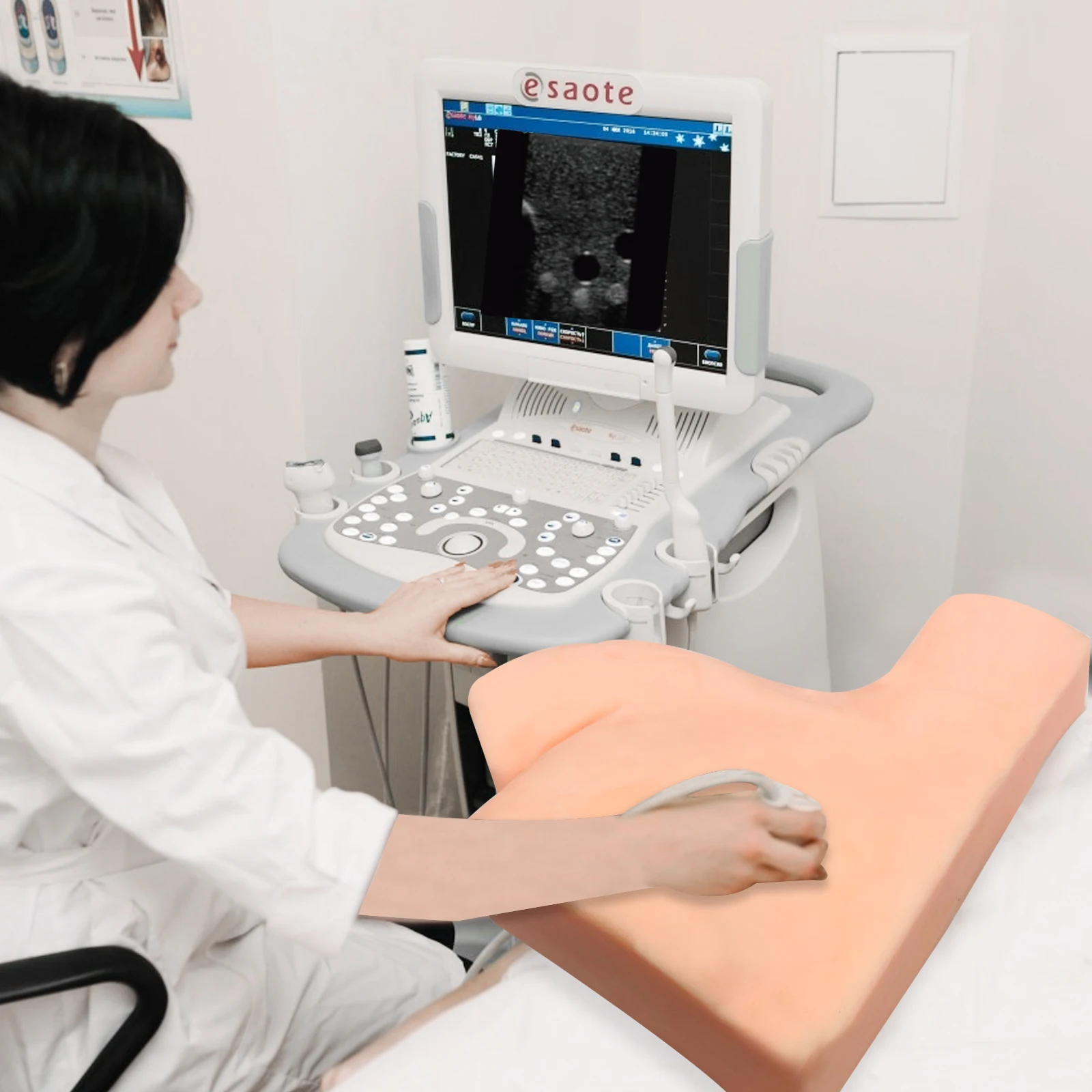 Ultrasound guided Brachial plexus nerve block puncture phantom, local anaesthesia training ,medical education