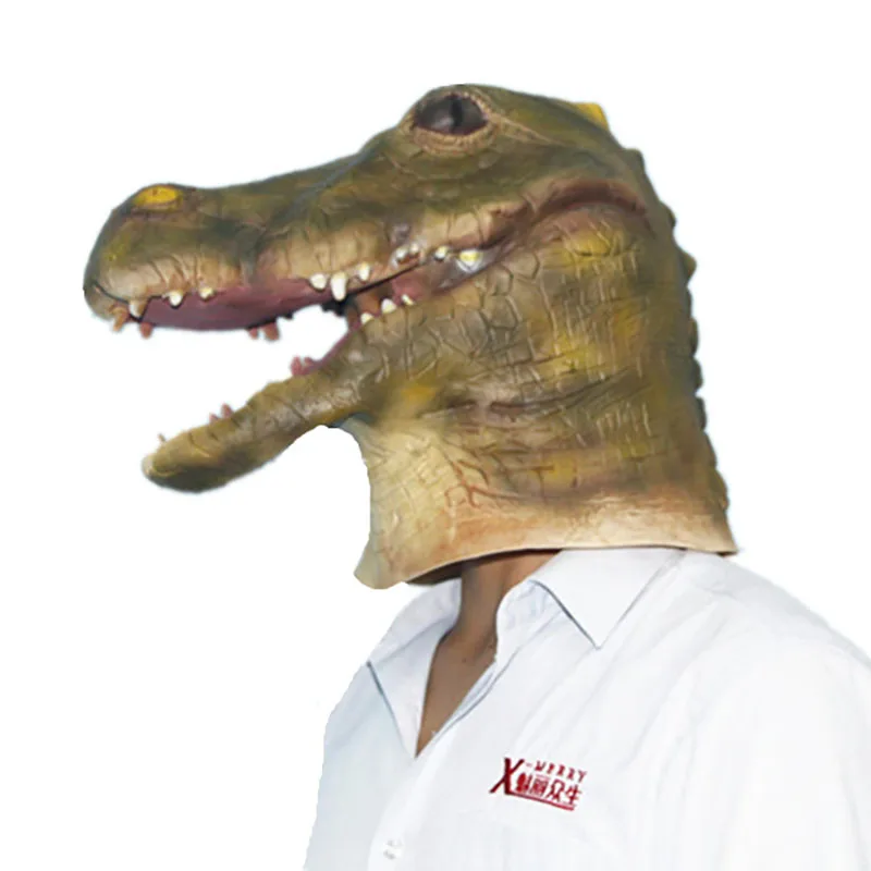   ũ м ڽ    ҷ īϹ Ƽ,  ô Ǿ  ȸ ǻ 