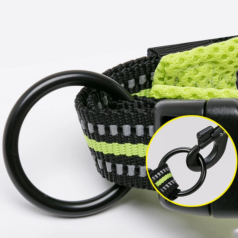 Winhyepet Dog Collar Comfort Padded with Buckle Traveling Walking Collar Tactical Dog Suplies 11 Colors Size XXS-XXXL dog collar,pet collar