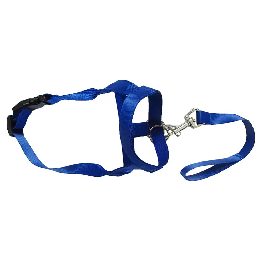 Anti Bite Adjustable Leader Belt Dog Pet Collar No Pull Bite Straps Harness Head Collar Muzzle Halter Training Leash