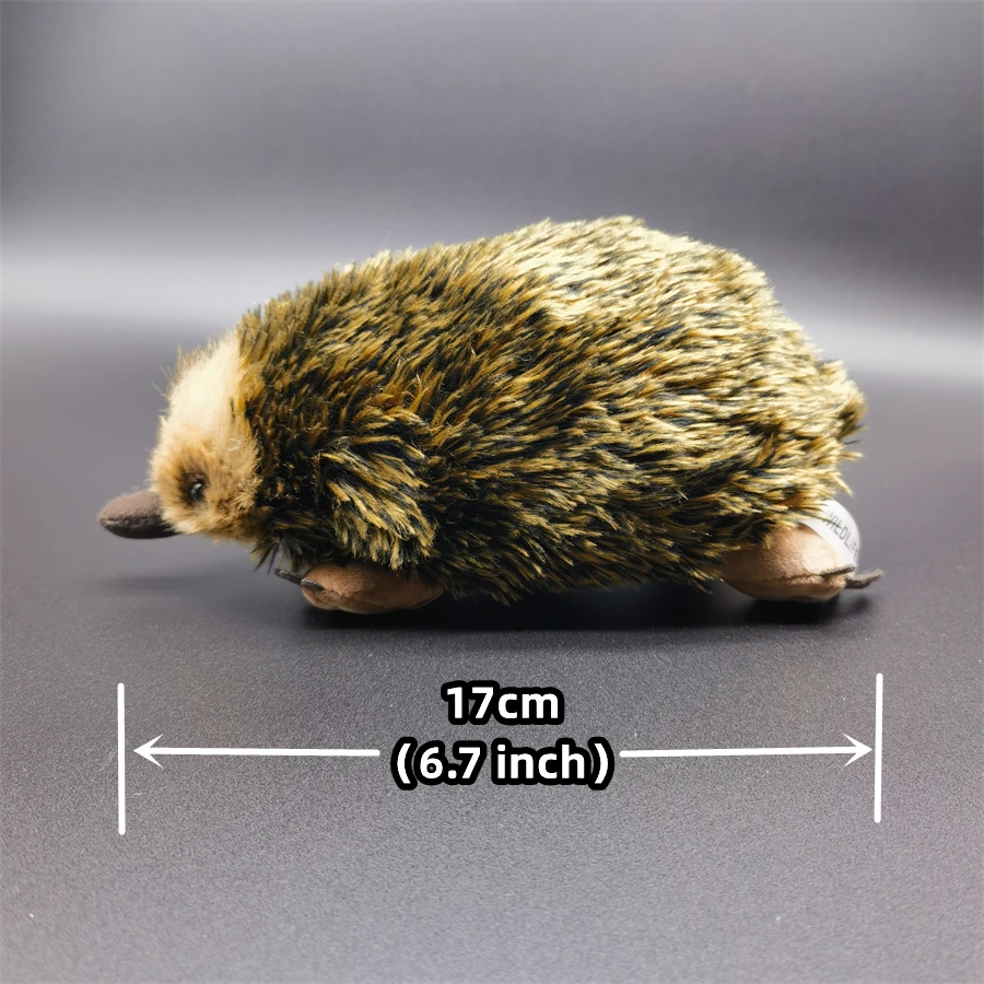 Echidna High Fidelity Anime Cute Mole Plushie Spiny Anteater Plush Toys Lifelike Animals Simulation Stuffed Doll Kawai Toy Gifts 2