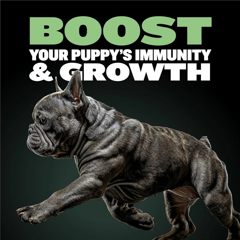 BULLY MAX HIGH PROTEIN & GROWTH WHOLESOME FORMULA FOR PUPPIES, Promotes Strong Muscle Development And Overall Health 120g