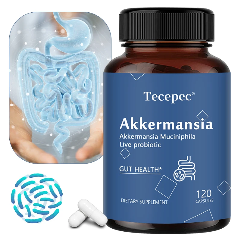 Akkermansia Muciniphila Active Probiotic Capsules, Support Digestion, Intestinal Health, Promote Intestinal Flora Balance 1