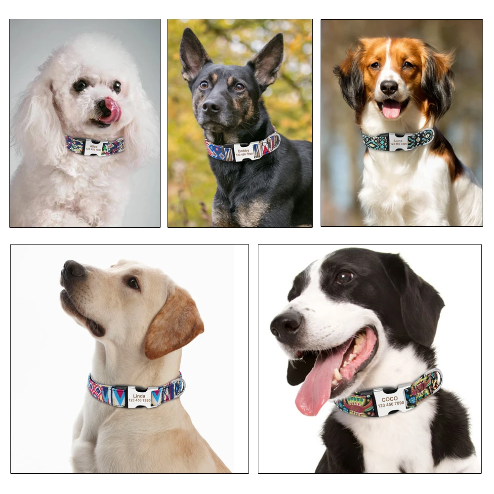 Dog Collar Custom Engraved Personalized Nylon with Printed Puppy Cat Nameplate for Small Large Dogs