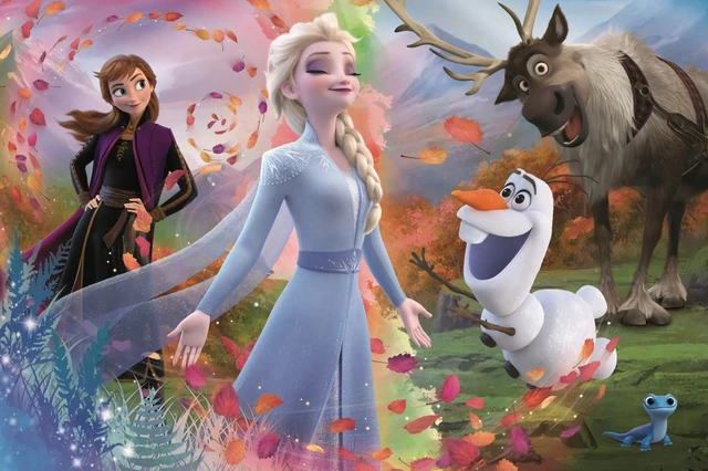 Vinil das princesas Elsa e Ana da Frozen, Disney