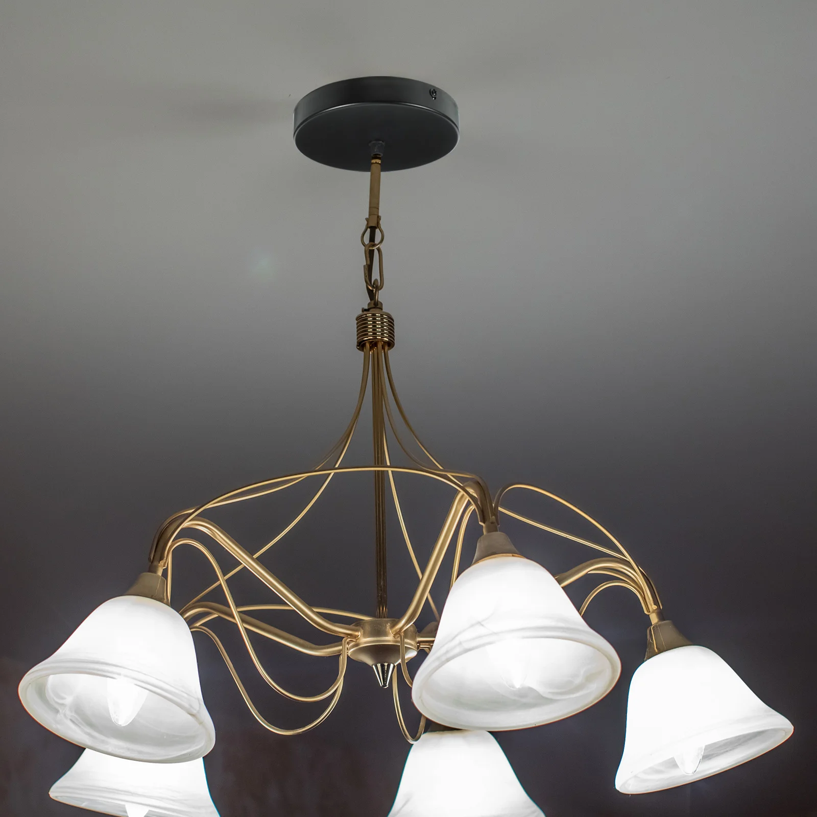 

2pcs Light Canopy Round Chandelier Ceiling Plate Chandelier Canopy Plate