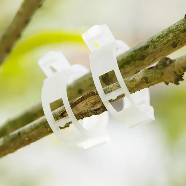 Ew Növényi Klipek Műanyag Szőlőbilincsek Támogató A Rácsos Zöldség Hegymászásához, Hogy Egyenesen Vagy Leesjenek, És Egészségesebbé Váljanak - Image 5