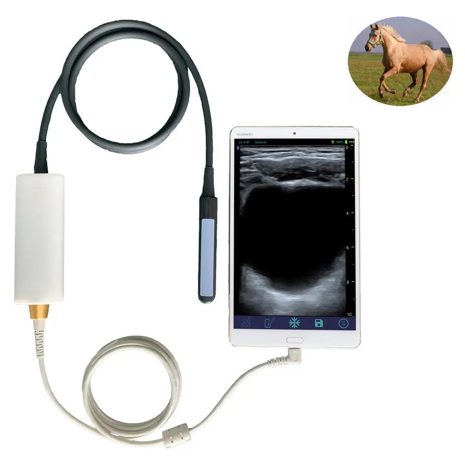 

USB Rectal horse cattle cow bovine equine preg nancy test ultrasound machine for veterinary use