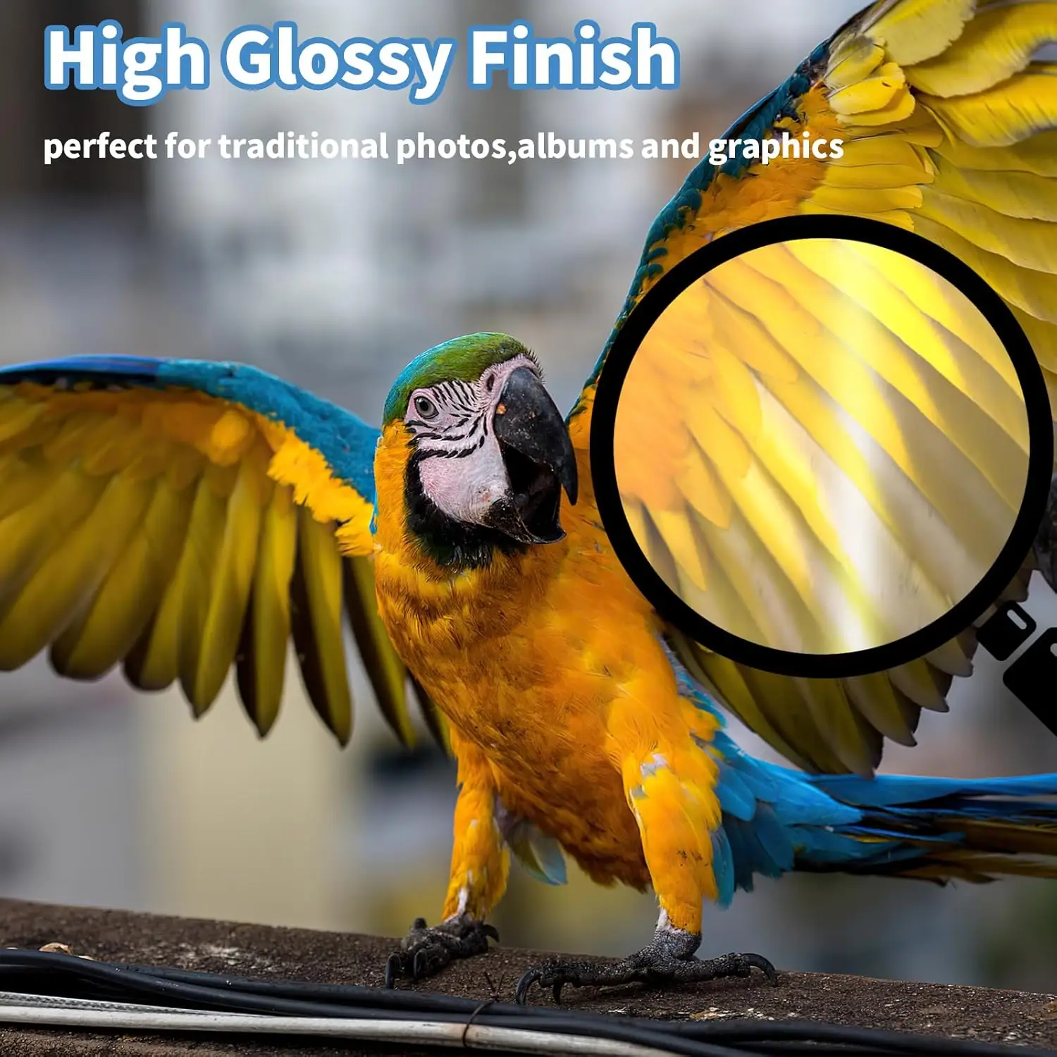 Waterproof Glossy Paper 4