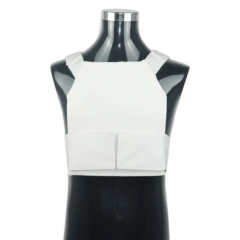 Summer plate carrier 2