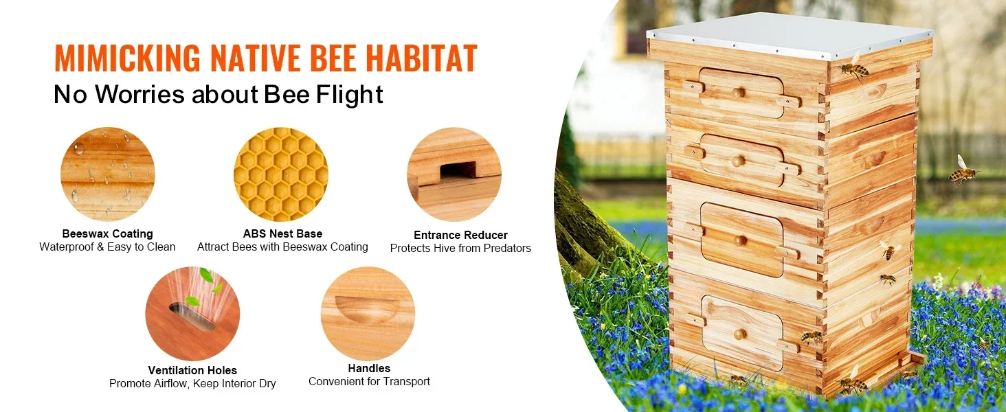 bee hive