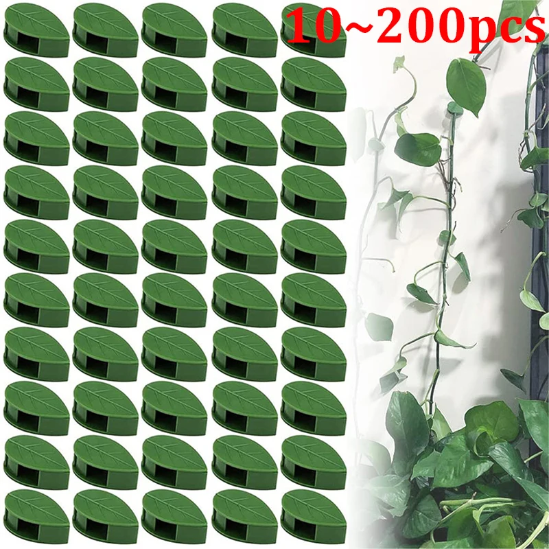 Plant Climbing Support 10~200pcs Invisible Rattan Vine Bracket Fixed Buckle Leaf Clips Traction Holder Garden