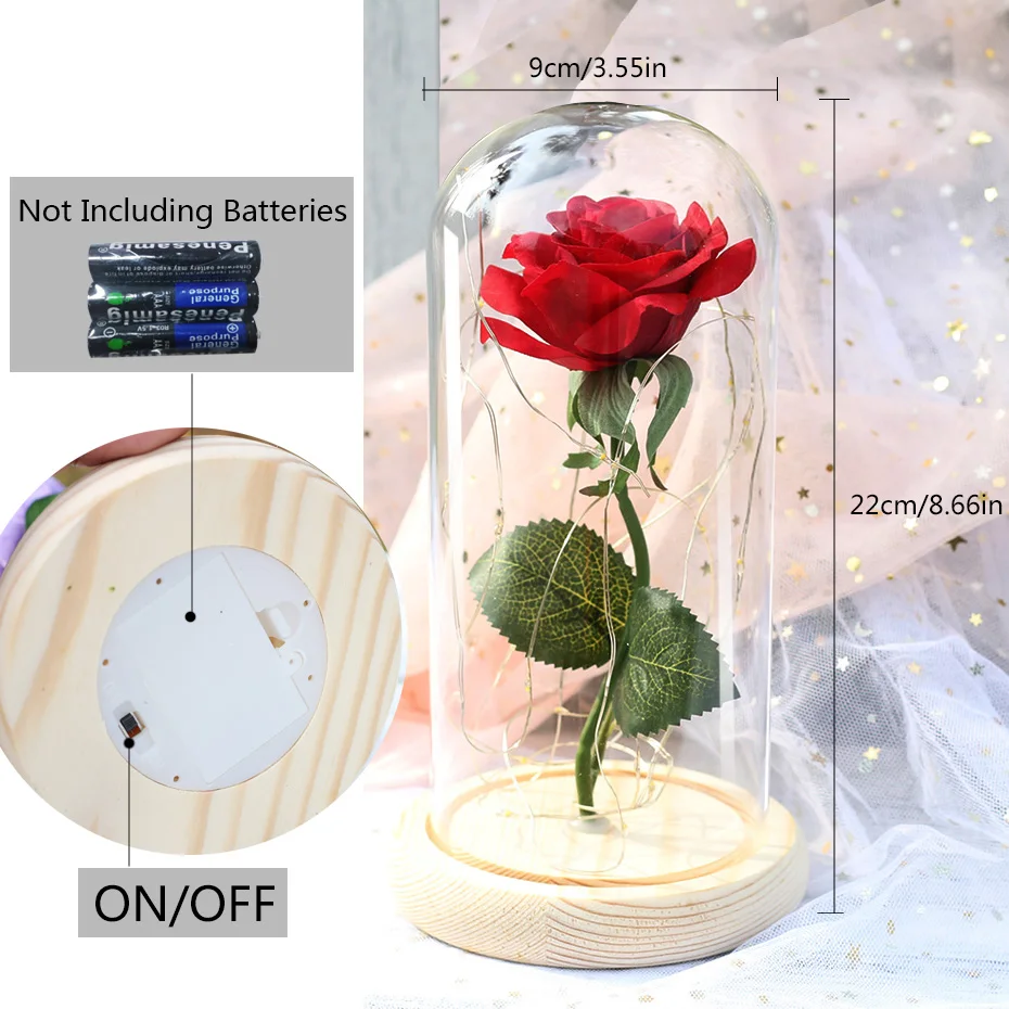 LED Night Light Beauty and The Beast Rose In Flask Glass Eternal