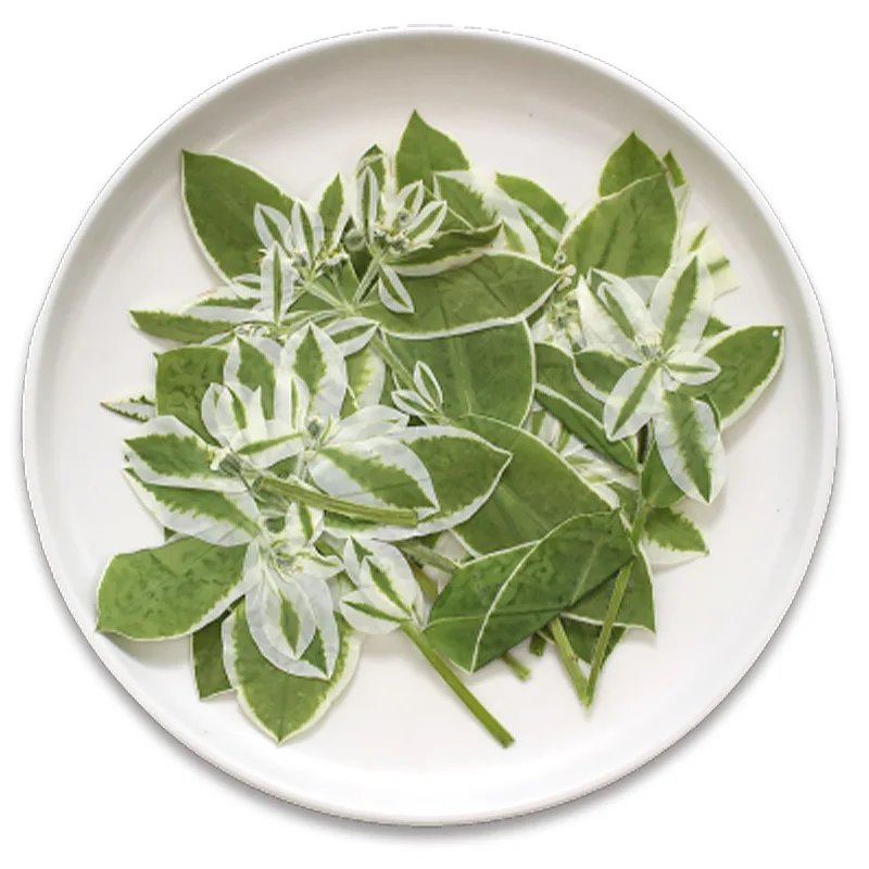 

3-6cm/24pcs,nature pressed Leaf flowers,true leaf plant specimens embossed flower frames bookmark desk lamps handbook materials
