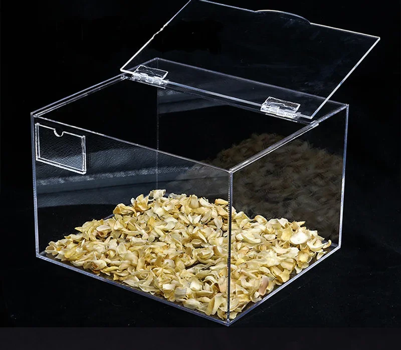Transparent Plastic Folding Hinges Durable Clear Acrylic Hinge Tools Cabinet Hardware Furniture Cabinet Door Hinges 10Pcs