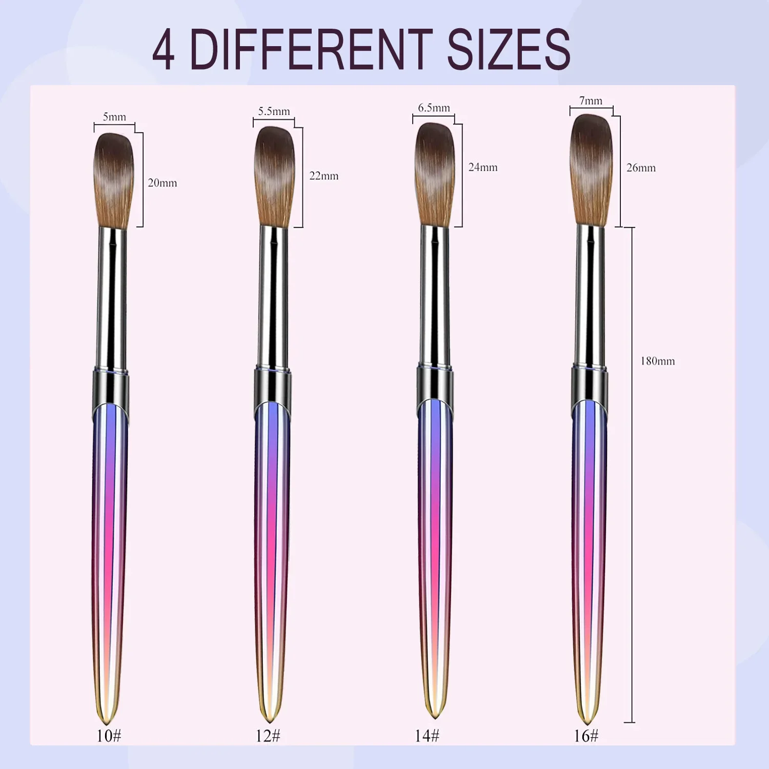 4pcs Kolinsky Acrylic Nail Brush Set Size 10/12/14/16 for Acrylic Powder Application Brushes Art Extension & Carving Salon Home 3