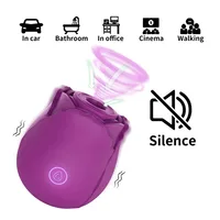 10-Gang-Rose-Spielzeug-Stimulator, Vibrator, G-Punkt-Dildo, leistungsstarkes vaginales Klitoris-Saugen, Sexspielzeug für Frauen, leistungsstarkes Vakuum-Massagegerät 3