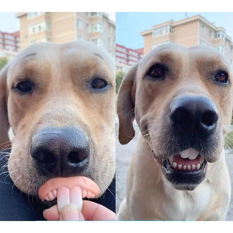 Funny Dog False Teeth Pet Dentures Decorating Supplies Dog Halloween