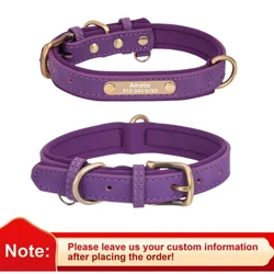 Personalized Soft Padded Leather Dog Collar and Leash with Engraved Nameplate - M (Purple Collar)