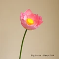 Big Lotus Deep Pink