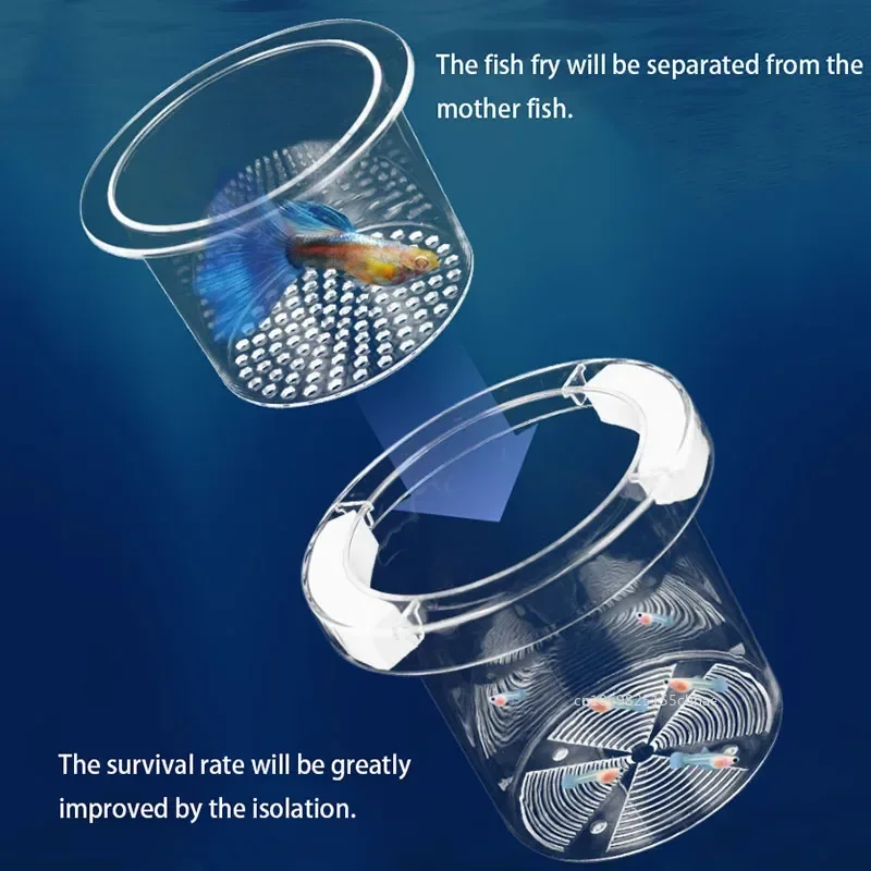 Acrylic Floating Fish Breeding Isolation Box Round Aquarium Breeder Feeder Fish Tank Hatching Incubator Aquarium Hatchery Tools