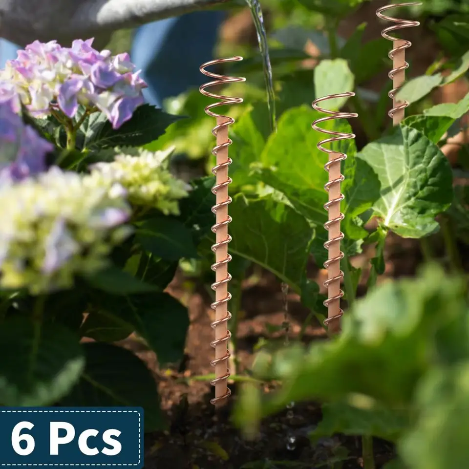 ESTINK Lot de 6 Piquets pour Plantes en Bois Naturel avec Bobine en