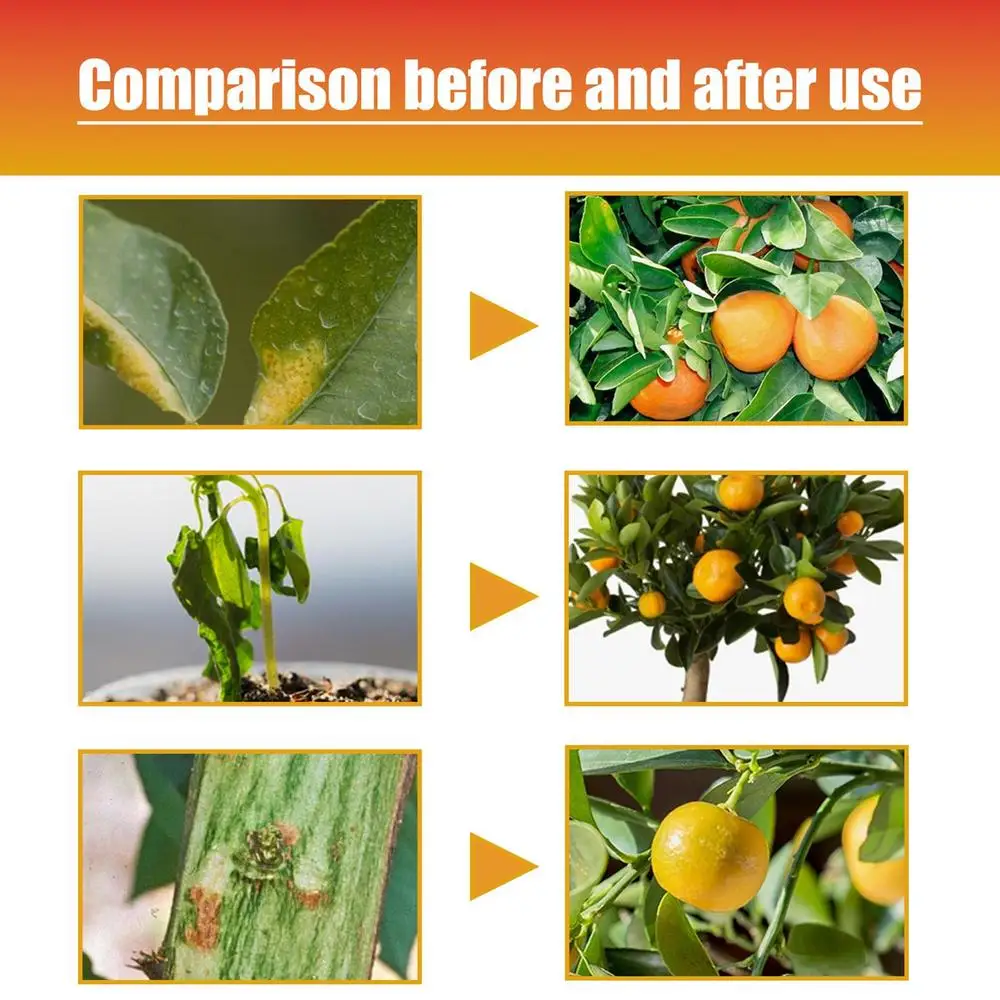 Description Picture 2 of itemCitrus Plant Fertilizer Fast Potting Rooting Plant Nutrient Lemon Trees Growth Enhancer 100ml Organic Food Plant Garden Supplies