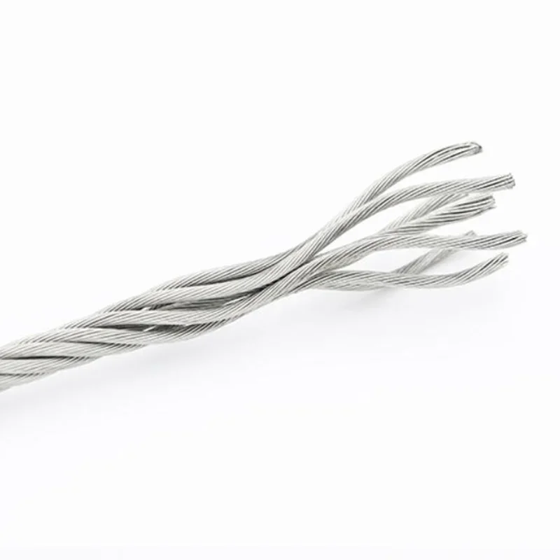 Dia 0.5 0.6 0.8 1 1.2 1.5 2.5 3mm 304 steel 7X7 stranded twisted lifting hanging fishing wire rope photo frame wall picture hook