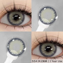 Natural Brown Fashion Contact Lenses - Enhancing Eye Color Variety (BALI - gray)