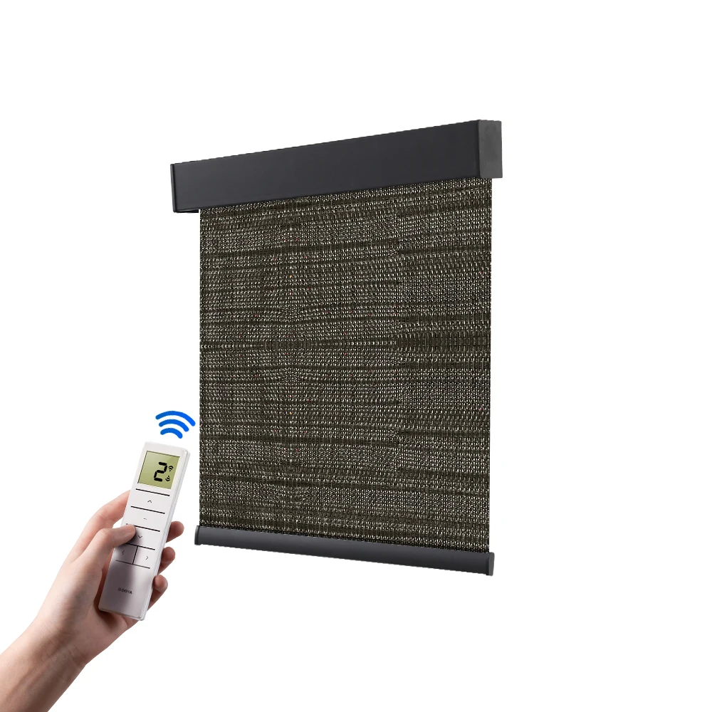 Smart Roller Blackout Layers Day and Night Curtain Cordless Roller Shades Wifi Control Motorized Electric Zebra Blinds